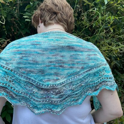 Mountain Arnica Shawlette