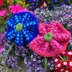 Twisted Tweed Flower Brooch Knitting Pattern - Free Knitting Pattern