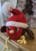 Robin - Chocolate Orange Cosy