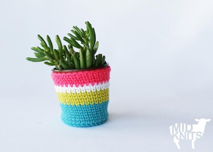 Striped Drink Cozies (2015031)