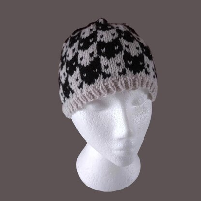 Cat Attitude All Round