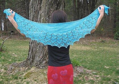 Sweet Caroline Shawl