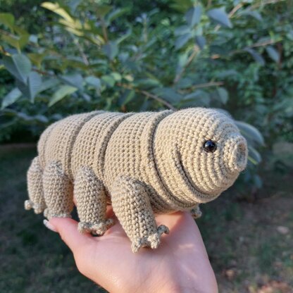 Tardigrade or Water Bear