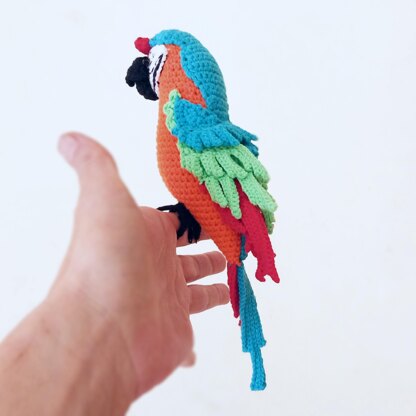 Macaw parrots