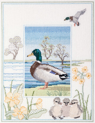 Derwentwater Designs Mallard Cross Stitch Kit - 27cm x 34cm