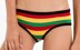 Rasta Bikini Bottom and Panty