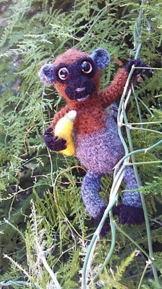 Adi the monkey