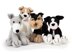 Deramores Dera Dogs 2 PDF