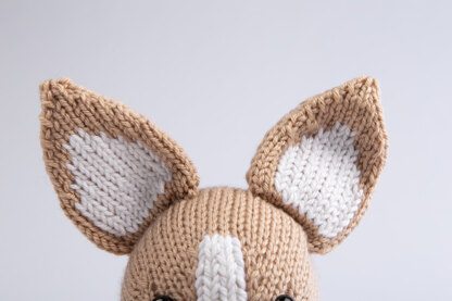 Deramores Charlie the Chihuahua PDF