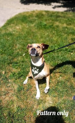 Dog paw bandana