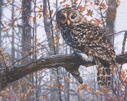 Dimensions Wise Owl Cross Stitch Kit - 35.5cm x 28cm