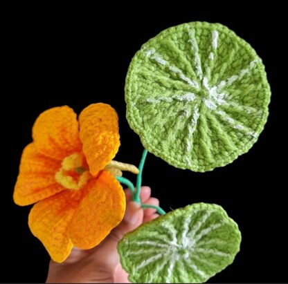 Crochet Nasturtium flowers