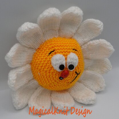 Didi the daisy