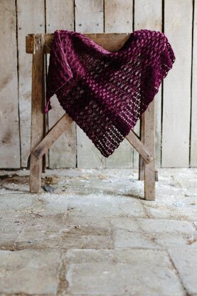 The Shawl Project Book 2