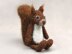 Floro the red squirrel