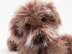 Daisy the Cavapoochon in James C. Brett Faux Fur - Downloadable PDF