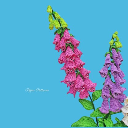 Foxglove