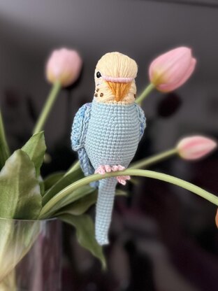 Pearl the Budgie
