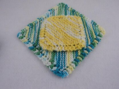 Dishcloth Scrubber & Coaster