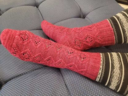 Lady Aston Sock