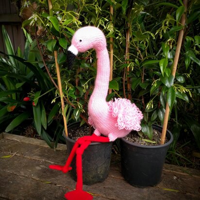 Frankie Flamingo