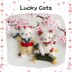 Lucky Cats