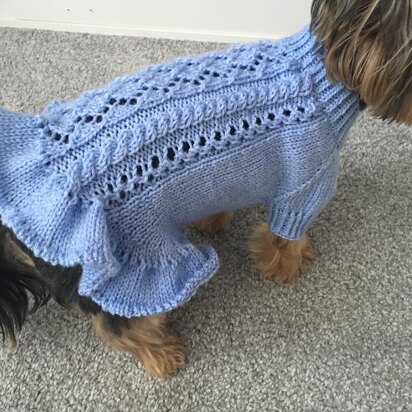 Blue Knitted Dress for Dogs - knitting pattern