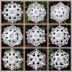 Snowflakes From Jack Frost's Garden