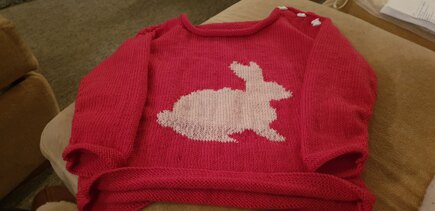 Emily's 'Elsa' rabbit jumper #2