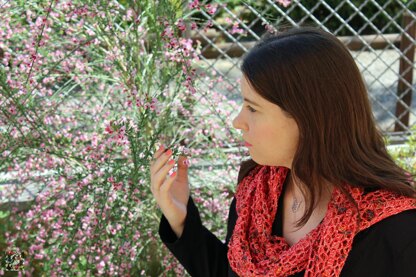 Friendship Rose Shawl