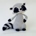Raccoon