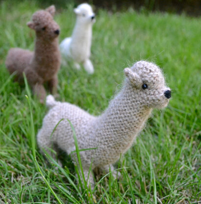 Light Brown Alpaca