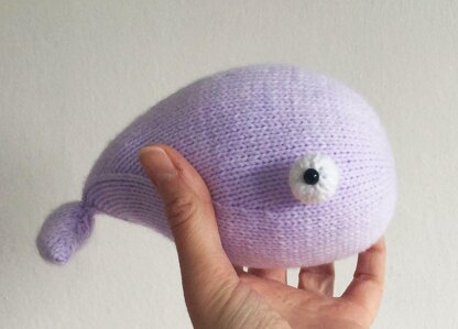 Eyeball Whale