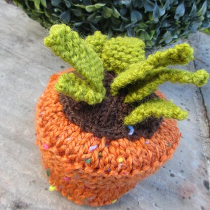 Potted Plant Container