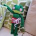 Froggy companion soft toy
