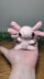Knit Axolotl