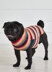 Crochet Dog Coat Set - Crochet Pattern For Pets in Debbie Bliss Rialto Aran by Debbie Bliss