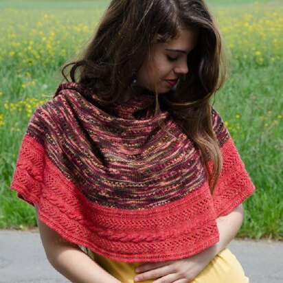 Color Twister Shawl