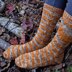 Autumnal Socks