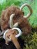 Wilma and Willy Woolly Mammoths Toy Knitting Pattern