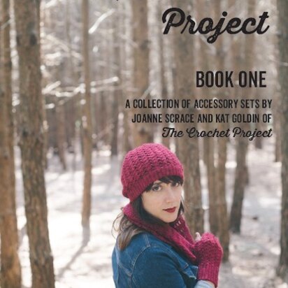 The Accessories Project Book 1 by Joanne Scrace and Kat Goldin
