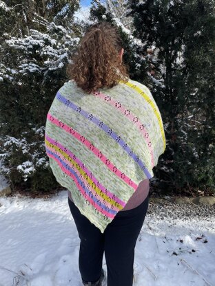 Libellule Shawl