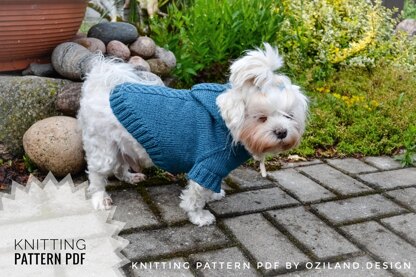 Sport hoodie clothes for dog