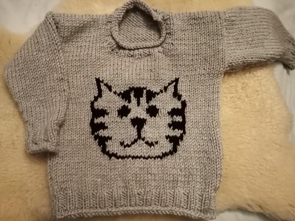 Cat sweater for children Knitting pattern by Sarah Murray