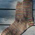 Knitting Pure & Simple 216 Beginner's Lightweight Socks