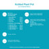 Flower in a Pot in Deramores Studio DK  - Downloadable PDF