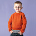 Rowan Pure Wool Worsted Kids eBook