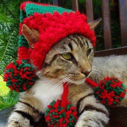 The Elf: Hat for Cats