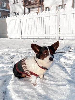 Doggo no 2 sweater
