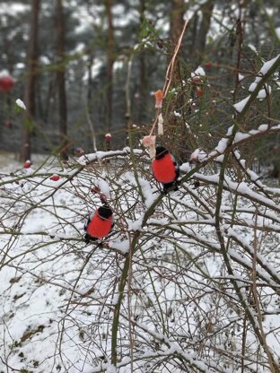 Bullfinch, Tit, Sparrow, Coalmouse bird, Amigurumi bird